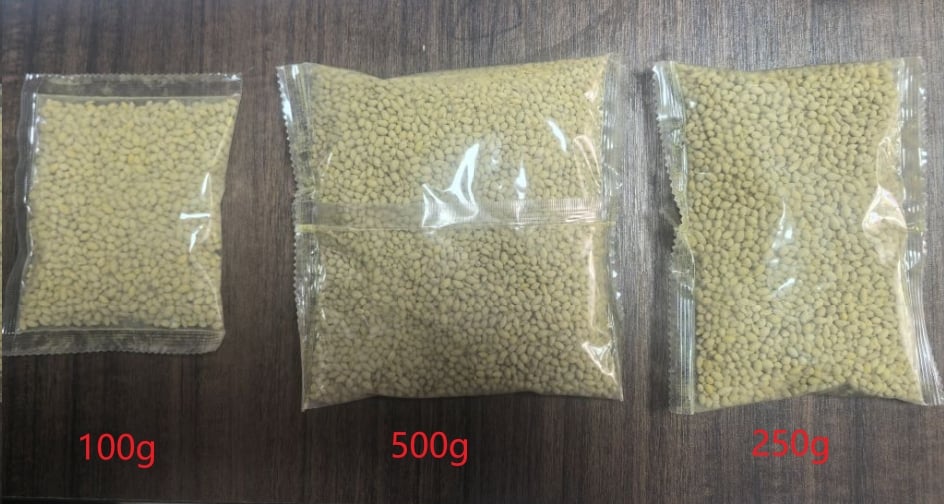 ๐ฑ2026 Evergreen Dwarf Grass Seed | For Four Seasons