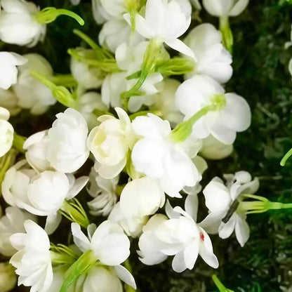 🏆Over 65,000 SOLD!🌸Friendly Hanging Jasmine. Dreamy Indoor Flower-FO