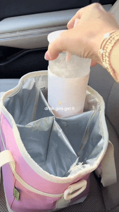 🔥Last Day 49% OFF - ✨Family Size 4 Compartment Drink Bag