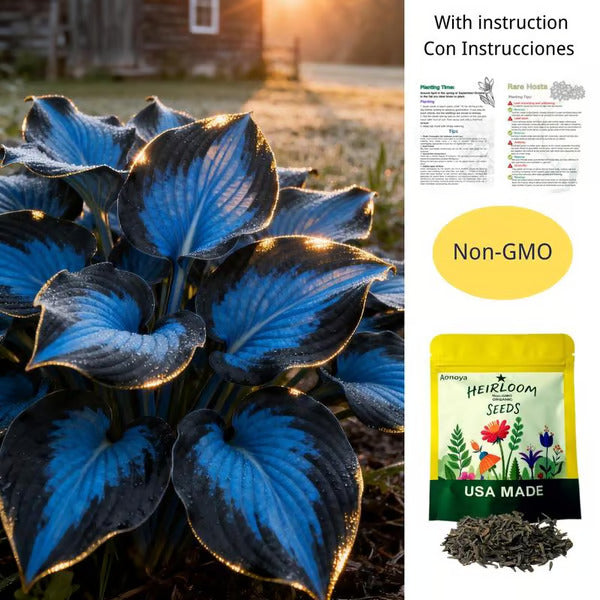 🌿Rare Hosta Seeds for Lush Shade Gardens💖(500 seeds)
