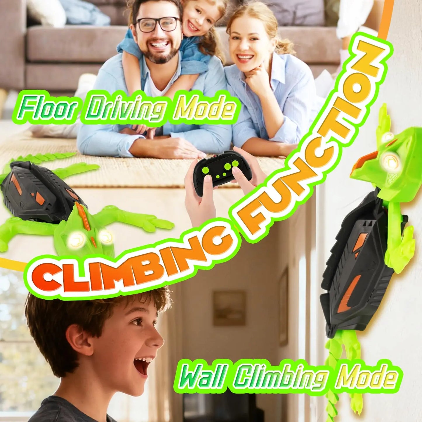 Wall Climbing Lizard