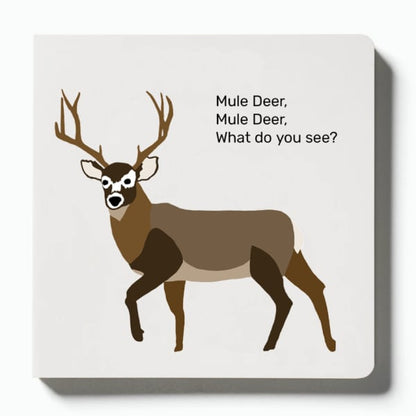 🔥Last Day 50% OFF - 🦌Whitetail, Whitetail, What Do You See? - A "Children's Book" for the Hunting Family by Mueller Optics