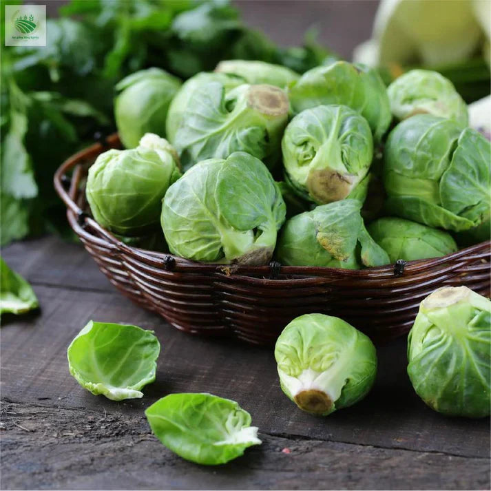 Brussels Sprouts Seeds