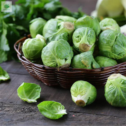 Brussels Sprouts Seeds