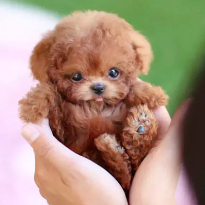 The Realistic Companion🐶My Realistic Robot Puppy